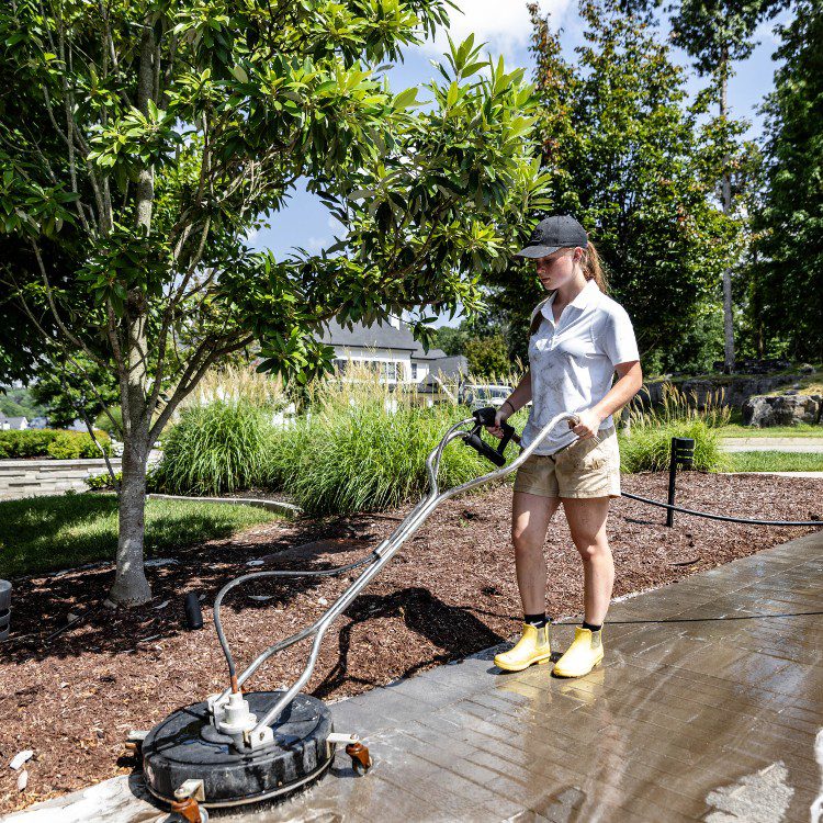 Staff Cleaning 2